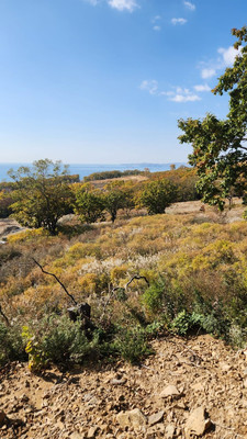 Продам участок 10 соток, ИЖС, Осенняя (поселок Врангель мкр.) ул, 35, Находка г, 0 км от города