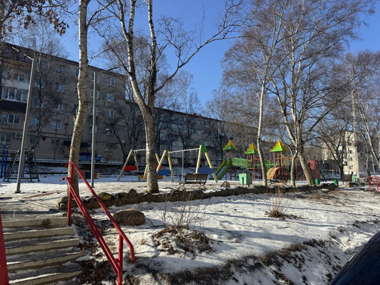 Продам однокомнатную (1-комн.) квартиру, Луговая (Дружный тер. СНТ) ул, 27, Находка г