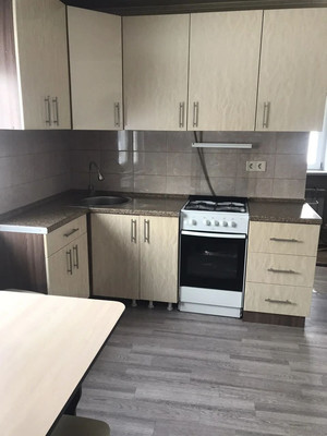 Продам дом, Центральная ул, 134, Лебяжье с, 0 км от города