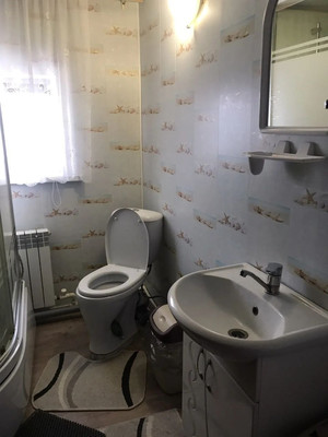 Продам дом, Центральная ул, 134, Лебяжье с, 0 км от города