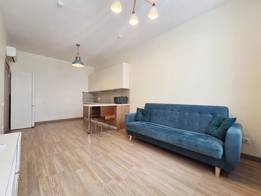 Продам однокомнатную (1-комн.) квартиру, Каширский проезд, 25к3, Москва г