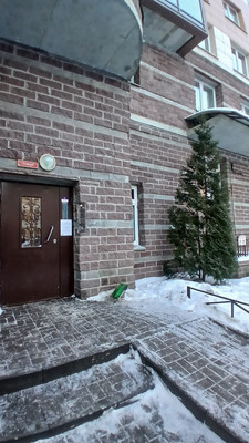 Продам трехкомнатную (3-комн.) квартиру, Королёва пр-кт, 63к2, Санкт-Петербург г