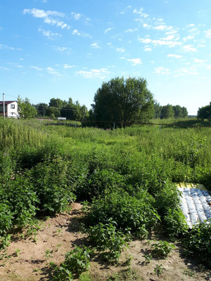 Продам дом, Нижегородское подворье ул, 50, Березовка д, 0 км от города