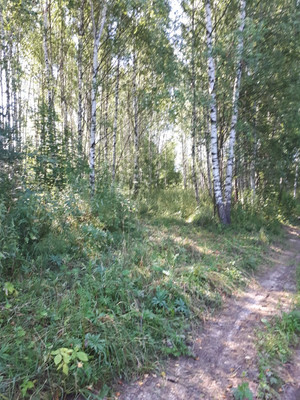 Продам дом, Нижегородское подворье ул, 50, Березовка д, 0 км от города