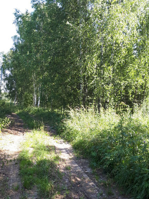 Продам дом, Нижегородское подворье ул, 50, Березовка д, 0 км от города