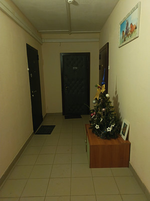 Продам однокомнатную (1-комн.) квартиру, 4, СНТ Южное тер