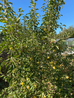 Продам участок 5,9 соток, ИЖС, Лесобазовская ул, 7а, Волгодонск г, 0 км от города