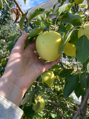 Продам участок 5,9 соток, ИЖС, Лесобазовская ул, 7а, Волгодонск г, 0 км от города