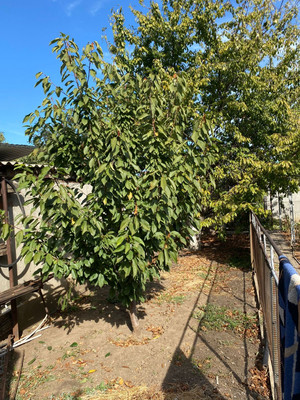 Продам участок 5,9 соток, ИЖС, Лесобазовская ул, 7а, Волгодонск г, 0 км от города