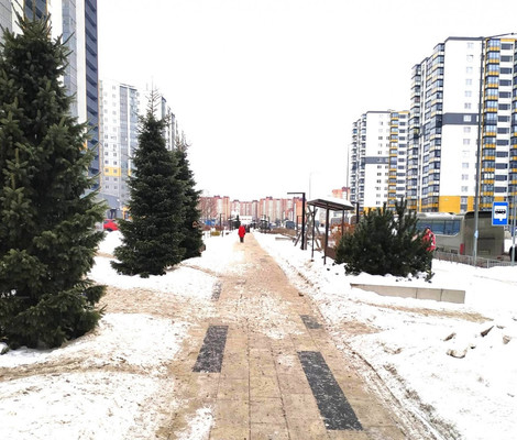 Продам трехкомнатную (3-комн.) квартиру, Десантника Вадима Чугунова б-р, 10/6, Новогорелово п