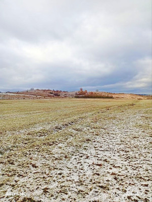 Продам участок 200 соток, ИЖС, Растущее с, 0 км от города