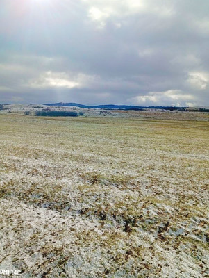 Продам землю для коммерческого использования 200 соток, Фермерское хоз., Растущее с