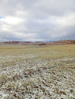 Продам землю для коммерческого использования 200 соток, Фермерское хоз., Растущее с