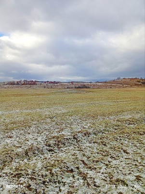 Продам землю для коммерческого использования 200 соток, Фермерское хоз., Растущее с