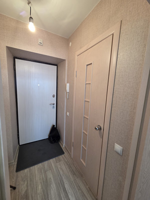 Продам однокомнатную (1-комн.) квартиру, М.Ф.Гайсина ул, 2Б, Осиново с