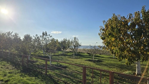 Продам таунхаус, Кубанская ул, 2кв, Витязево с, 0 км от города