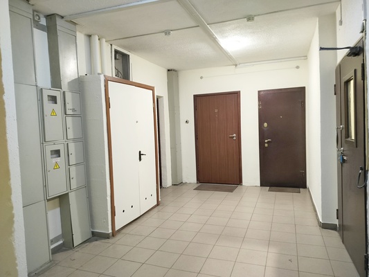 Продам трехкомнатную (3-комн.) квартиру, 1-й Новомихалковский проезд, 2к1, Москва г