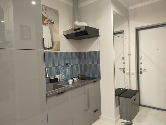 Продам однокомнатную (1-комн.) квартиру, Эйнштейна б-р, 5, Новоивановское рп