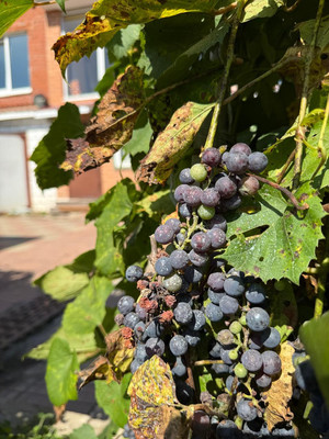 Продам дом, Верховского ул, 8, Находка г, 0 км от города