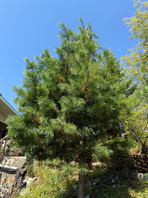 Продам дом, Верховского ул, 8, Находка г, 0 км от города