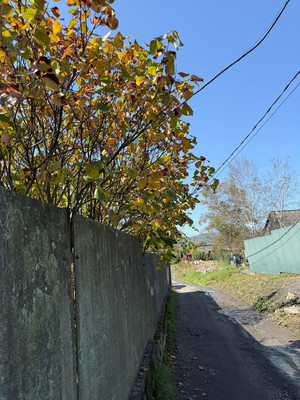 Продам дом, Верховского ул, 8, Находка г, 0 км от города