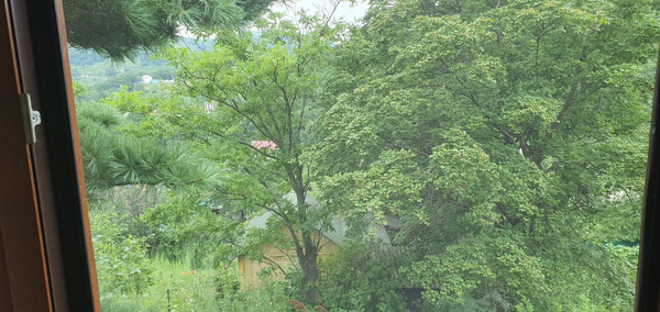 Продам дачу, Лесная (Приморец снт) ул, 167, Арсеньев г, 0 км от города