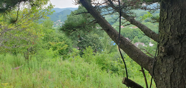 Продам дачу, Лесная (Приморец снт) ул, 167, Арсеньев г, 0 км от города