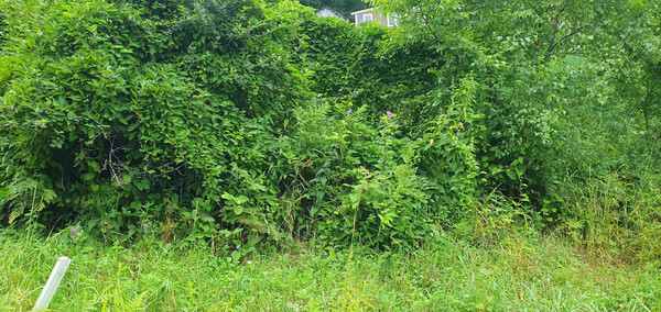 Продам дачу, Лесная (Приморец снт) ул, 167, Арсеньев г, 0 км от города