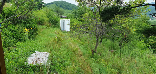 Продам дачу, Лесная (Приморец снт) ул, 167, Арсеньев г, 0 км от города