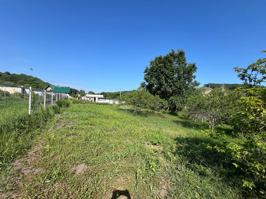 Продам участок 10,7 соток, Садоводство, Березовая ул, Голубовка с, 0 км от города