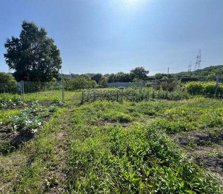 Продам участок 10,7 соток, Садоводство, Березовая ул, Голубовка с, 0 км от города