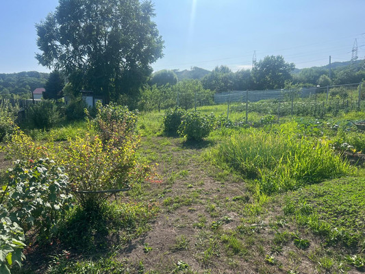 Продам участок 10,7 соток, Садоводство, Березовая ул, Голубовка с, 0 км от города