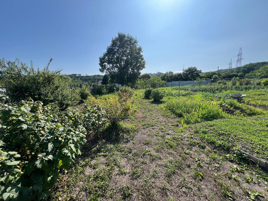 Продам участок 10,7 соток, Садоводство, Березовая ул, Голубовка с, 0 км от города