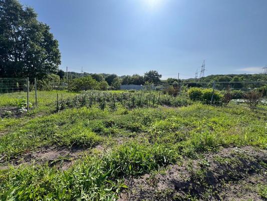 Продам участок 10,7 соток, Садоводство, Березовая ул, Голубовка с, 0 км от города