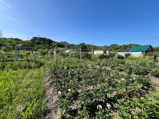 Продам участок 10,7 соток, Садоводство, Березовая ул, Голубовка с, 0 км от города