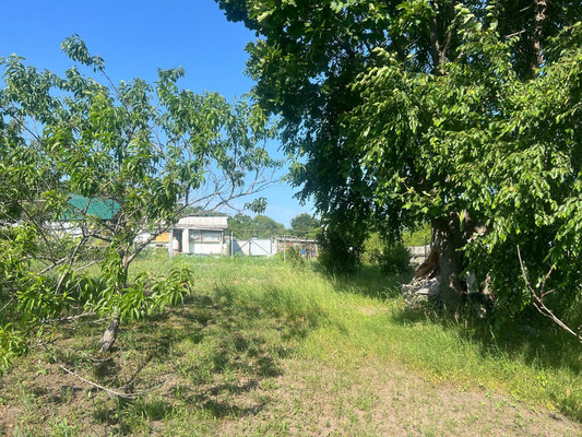 Продам участок 10,7 соток, Садоводство, Березовая ул, Голубовка с, 0 км от города