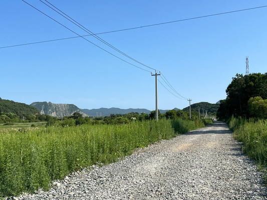 Продам участок 10,7 соток, Садоводство, Березовая ул, Голубовка с, 0 км от города