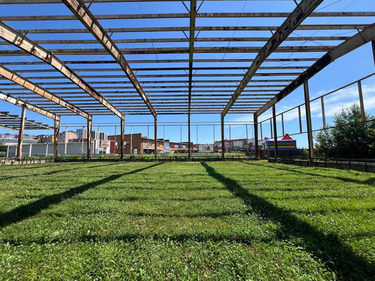 Продам коммерческое помещение 9 954 м2, Мира пр-кт, 69, Находка г