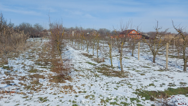 Продам дом, Школьная ул, Бараниковский х, 0 км от города