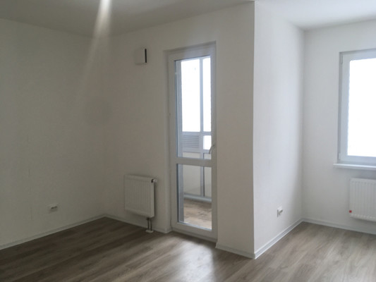 Сдам однокомнатную (1-комн.) квартиру, Чарушинская ул, 32к1, Санкт-Петербург г