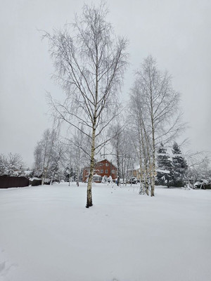 Продам участок 17,5 соток, ИЖС, Пушкина ул, Сырьево д, 0 км от города