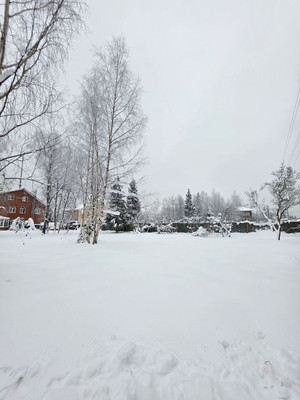 Продам участок 17,5 соток, ИЖС, Пушкина ул, Сырьево д, 0 км от города