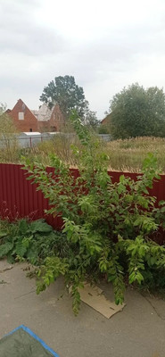 Продам участок 11 соток, ИЖС, Фермерская ул, Крёкшино д, 0 км от города