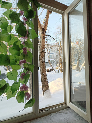 Продам однокомнатную (1-комн.) квартиру, Советская ул, 14, Кильдинстрой пгт