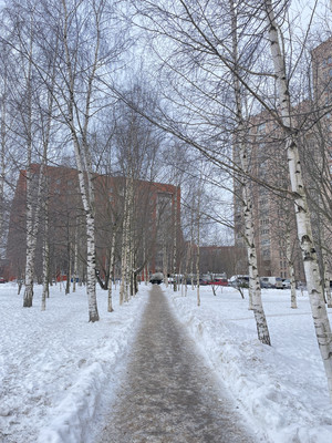 Продам трехкомнатную (3-комн.) квартиру, Ильюшина ул, 15Ак1, Санкт-Петербург г