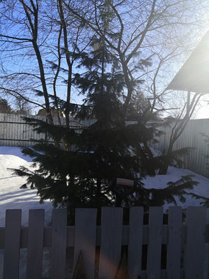 Продам дом, Красная ул, 93, Клишева д, 0 км от города