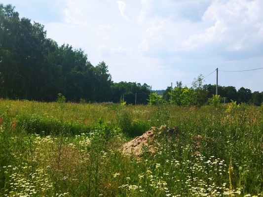 Продам участок 10 соток, ИЖС, поселок Гайтурово, Гайтурово д, 150 км от города