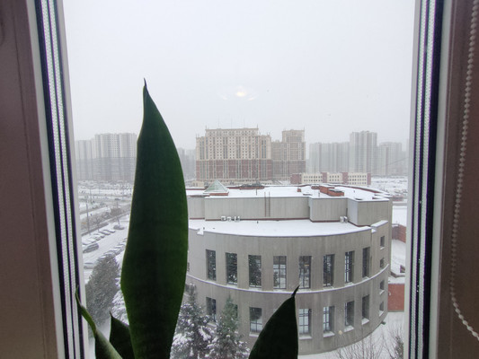 Продам трехкомнатную (3-комн.) квартиру, Дыбенко ул, 12Жк1, Санкт-Петербург г