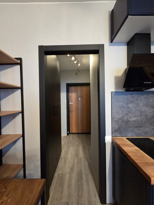 Продам однокомнатную (1-комн.) квартиру, Пражская ул, 11, Кудрово г