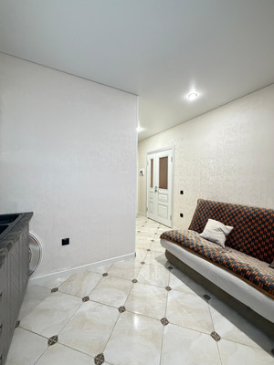 Продам однокомнатную (1-комн.) квартиру, Каменская ул, 23ка, Шалушка с